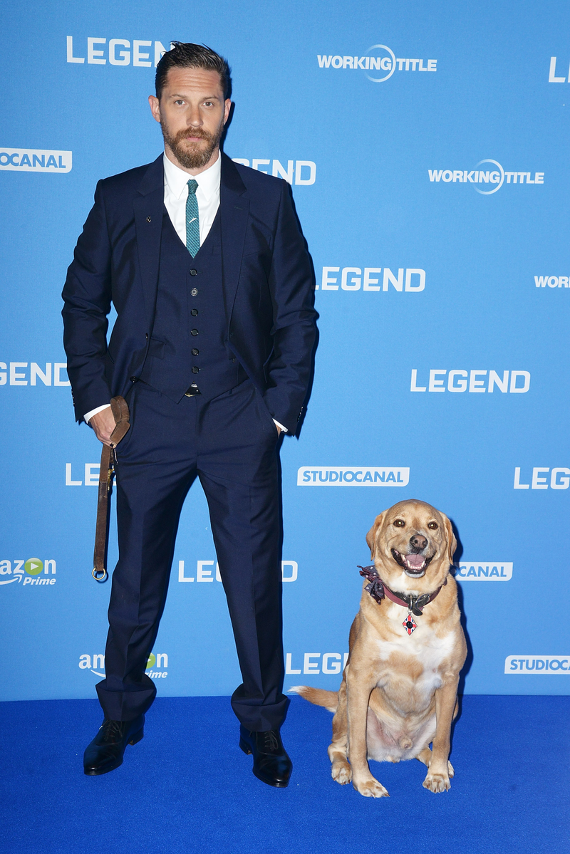 Illustration for article titled Tom Hardy pens long, heartfelt letter to his dead dog, Woody